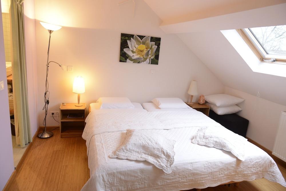 B&B Bio Brussels Saint-Gilles Bagian luar foto